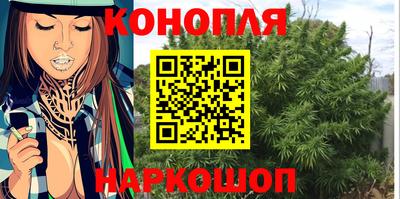 прущие грибы Гусиноозёрск