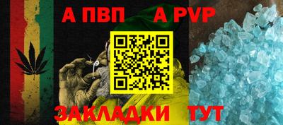 прущие грибы Гусиноозёрск