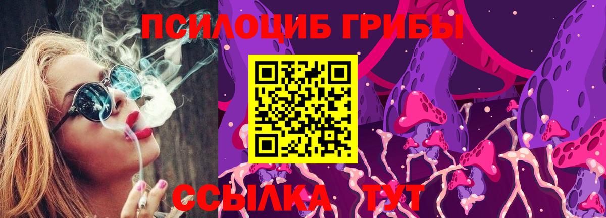 Набережные Челны  Псилоцибиновые грибы Cubensis  Вход с VPN  Галлюциногенные грибы MAGIC MUSHROOMS 